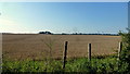 View to Frogmore farm