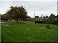 Autumn colour in Welwyn Garden City