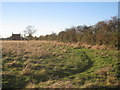 Bridleway to Eastgate, Bassingham