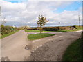 Grass covered road junction