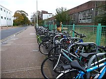 TL2412 : Bicycle racks, Hyde Way, Welwyn Garden City by Christine Johnstone