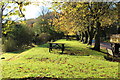 Picnic Area, Barr