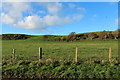 Farmland near Straid