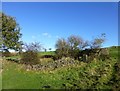 Ruin of Heys farmhouse