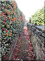 Footpath - Leadwell Lane