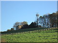 Telecomms mast at Grange Farm