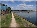 Path by the Itchen