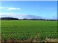 Fields at Whinmoor