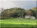 Pastures and woodland near Ridley (2)