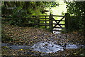 Footpath crossing stream above the Valency valley