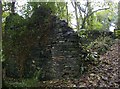 Ruin in woodland above Valency valley