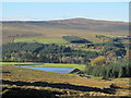 Pastures, Eastend Reservoir and plantations above Allenheads (3)