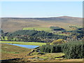 Pastures, Eastend Reservoir and plantations above Allenheads (4)