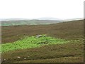 NT9104 : Moorland west of Harbottle Lake by Mike Quinn