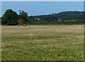 SK4611 : Small field near Rise Rocks Farm by Mat Fascione