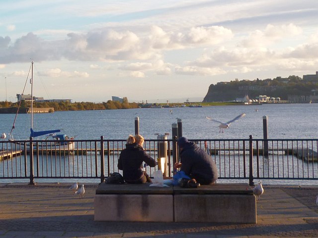 Feeding the gulls beside Cardiff Bay