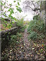 Footpath - Dennison Hill