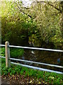 Bosham Stream looking north from Southbrook Road