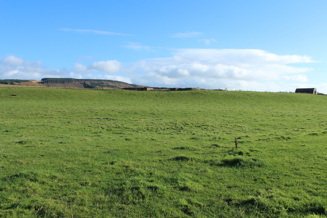 Farmland near Innermessan © Billy McCrorie :: Geograph Britain and Ireland