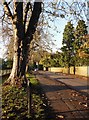 Church Road, Claygate, in autumn