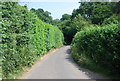 Sussex Border Path