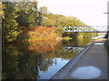 Autumn Bridge View