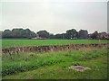 Fields at Samlesbury