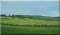 Farmland south of Bushmills