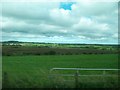 View across pasture land to wetland in the Main Valley