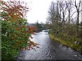 Camowen River, Omagh