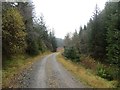 NS5198 : Logging road, Loch Ard Forest by Richard Webb
