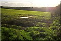 Crop near Dannett