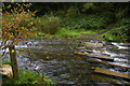 Weir in River Valency