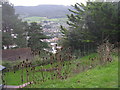 Looking over Minehead