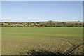 Fields near Bircholt Forstal