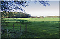 Fields towards Bircholt Wood