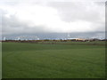 Field and modern barns at Sixty Acres Farm