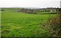 Farmland near Amy Tree