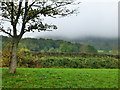 View across the road from the lay-by near the turning to Beili-glas