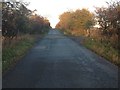 Minor road near Slioch