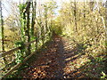 North Downs Way approaching Blue Bell Hill