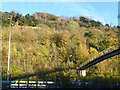 Footbridge over the A229