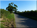 Lane to Stanton under Bardon