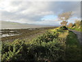 Shore line of the Beauly Firth