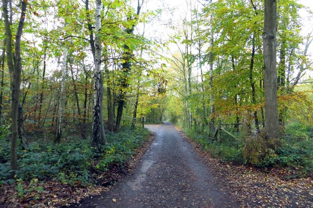 Track in Snelsmore Common Country Park © Steve Daniels cc-by-sa/2.0 ...