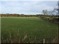 Farmland, Netherley