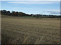 Farmland towards Old Hillock