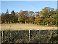 Farmland and woodland, Fairley Home Farm