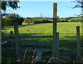 Stile along the footpath