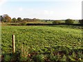 Drumnabey Townland